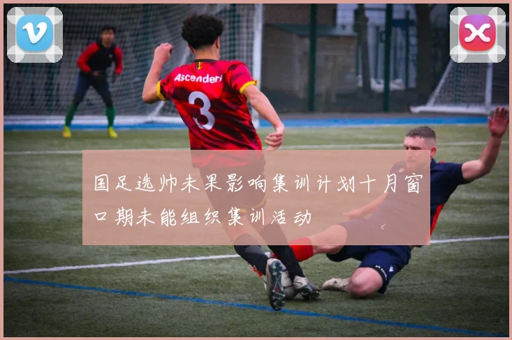 国足选帅未果影响集训计划十月窗口期未能组织集训活动