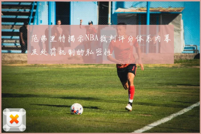 范弗里特揭示NBA裁判评分体系内幕及处罚机制的私密性