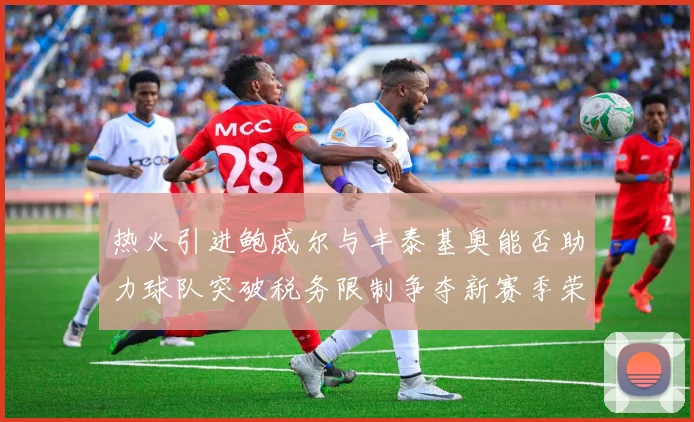 热火引进鲍威尔与丰泰基奥能否助力球队突破税务限制争夺新赛季荣誉
